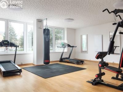 Sale apartment 1+KK Trmice č. 8
