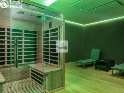 Sale apartment 1+KK Trmice č. 9
