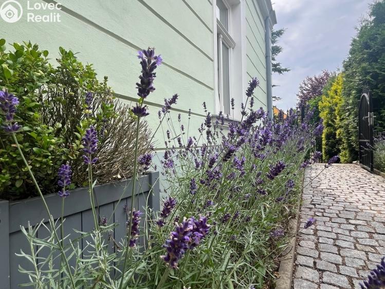 Pronájem bytu 2+1 Dubí, Ruská č. 13