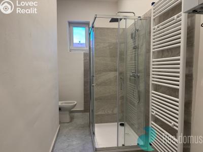 Аренда квартиры 2+1 České Budějovice, Mánesova č. 1