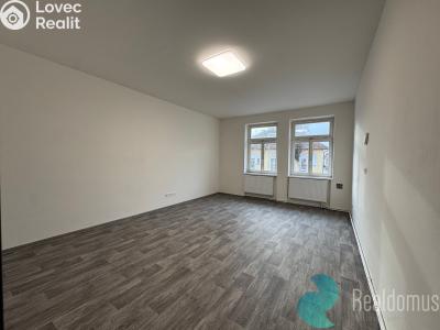 Pronájem bytu 2+1 České Budějovice, Mánesova č. 6