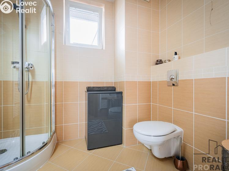 Sale apartment 4+KK Praha, Raichlova č. 18