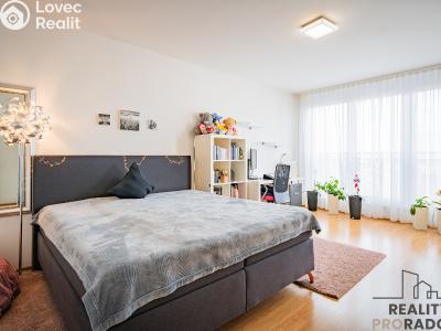 Prodej bytu 4+KK Praha, Raichlova č. 14