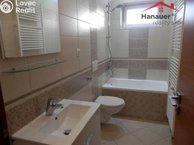 Pronájem bytu 2+KK Ústí nad Labem, Bělehradská č. 4