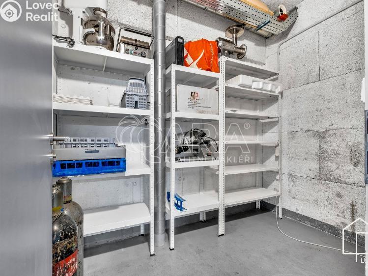 Rent restaurant Praha, Theinova 996/2 č. 18