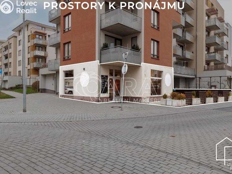 Pronájem restaurace Praha, Theinova 996/2 č. 3