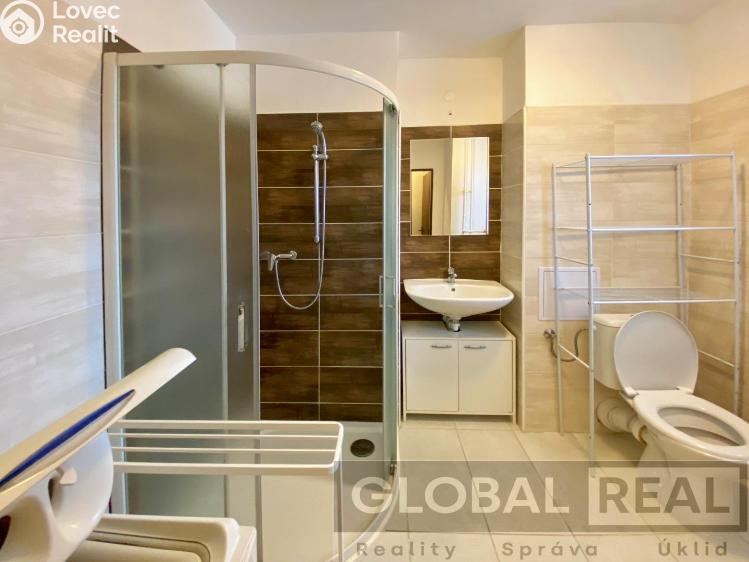 Rent apartment 2+1 Jihlava, Vrchlického č. 8