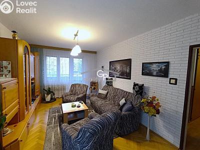 Pronájem bytu 3+1 České Budějovice, Klaricova č. 3