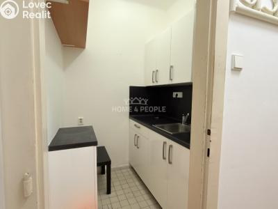 Pronájem bytu 1+1 Brno, Palackého třída č. 1