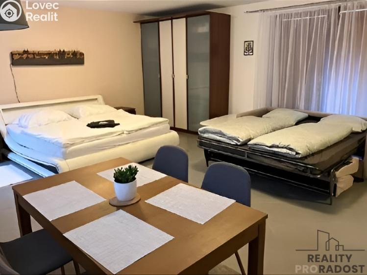 Pronájem bytu 1+KK Praha, Francouzská č. 5