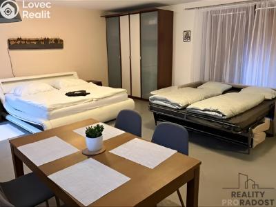 Pronájem bytu 1+KK Praha, Francouzská č. 5