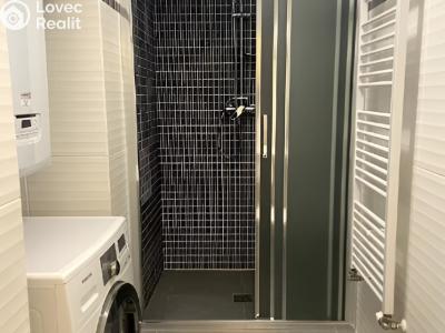 Pronájem bytu 1+KK Praha, Francouzská č. 6