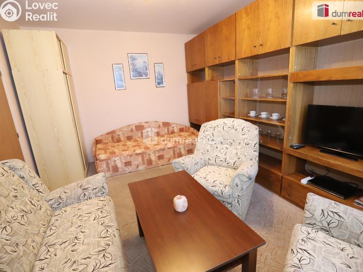 Pronájem bytu 1+1 Aš, Dlouhá č. 1