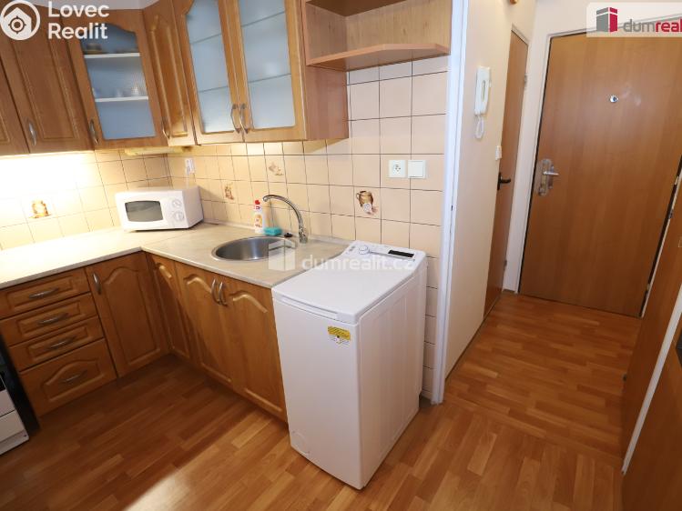 Pronájem bytu 1+1 Aš, Dlouhá č. 7