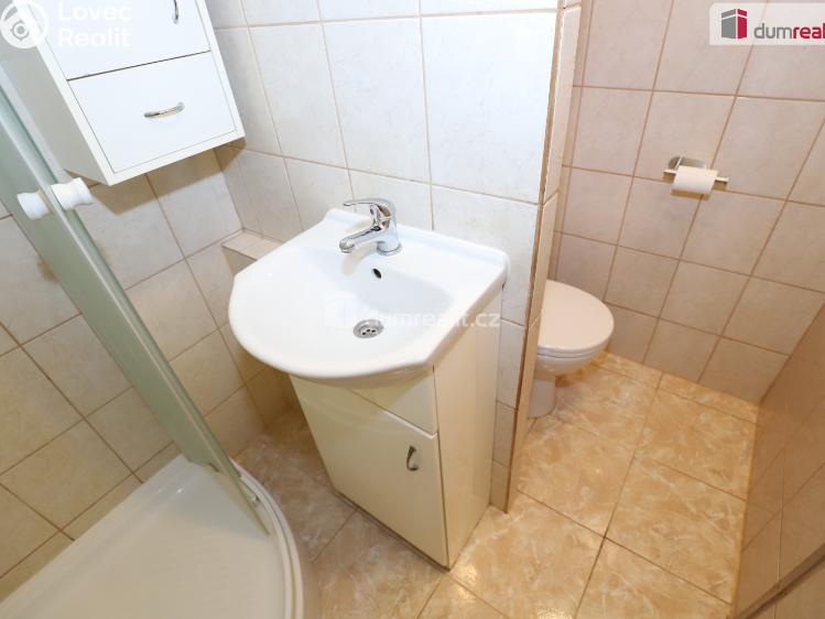 Pronájem bytu 1+1 Aš, Dlouhá č. 10