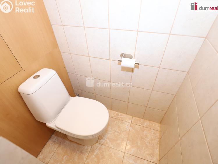 Pronájem bytu 1+1 Aš, Dlouhá č. 12