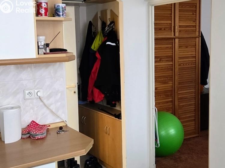 Pronájem bytu 1+1 Jihlava, Březinova 3684/55 č. 4