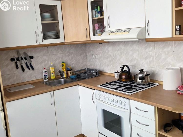 Pronájem bytu 1+1 Jihlava, Březinova 3684/55 č. 7