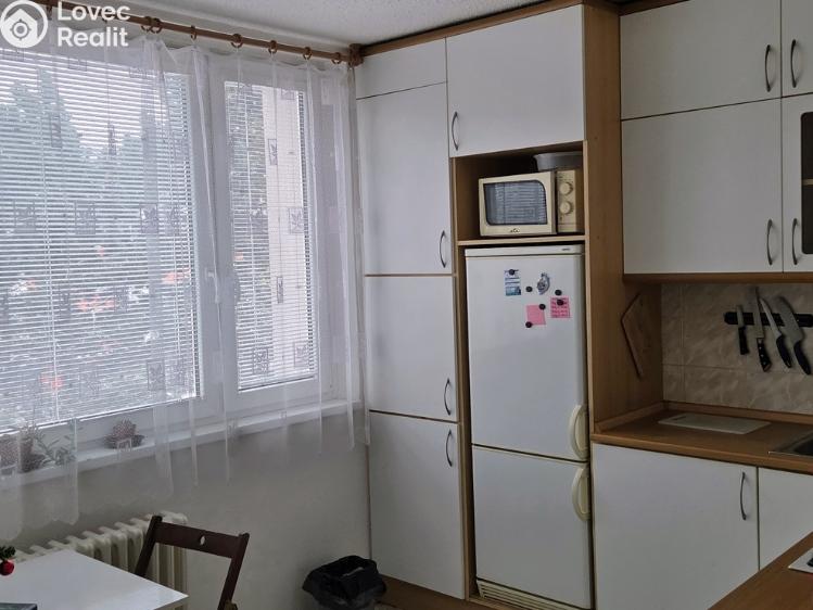 Pronájem bytu 1+1 Jihlava, Březinova 3684/55 č. 8