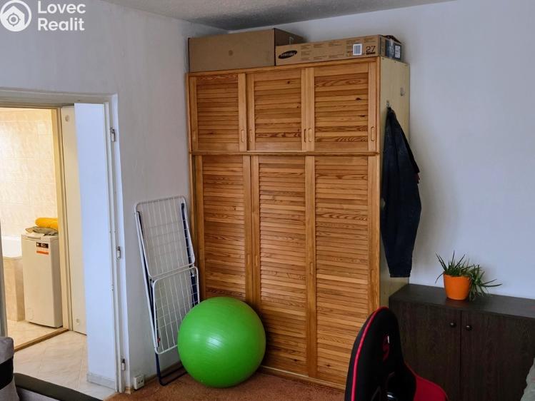 Pronájem bytu 1+1 Jihlava, Březinova 3684/55 č. 9