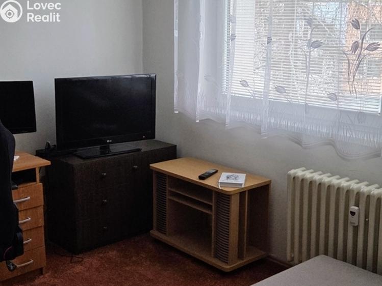 Pronájem bytu 1+1 Jihlava, Březinova 3684/55 č. 10