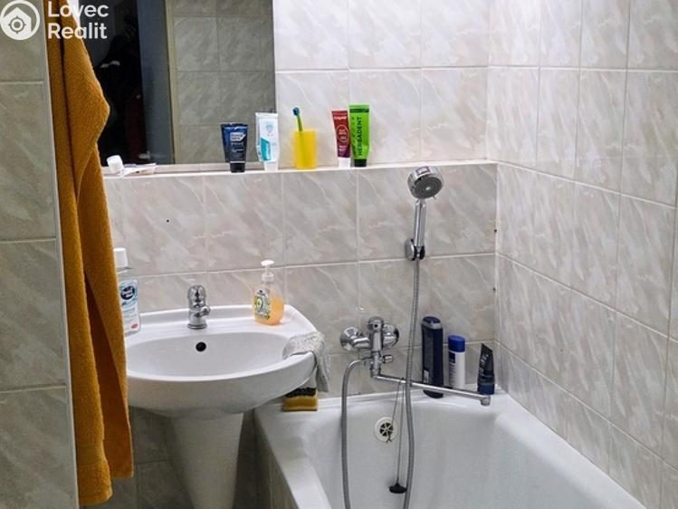 Pronájem bytu 1+1 Jihlava, Březinova 3684/55 č. 11