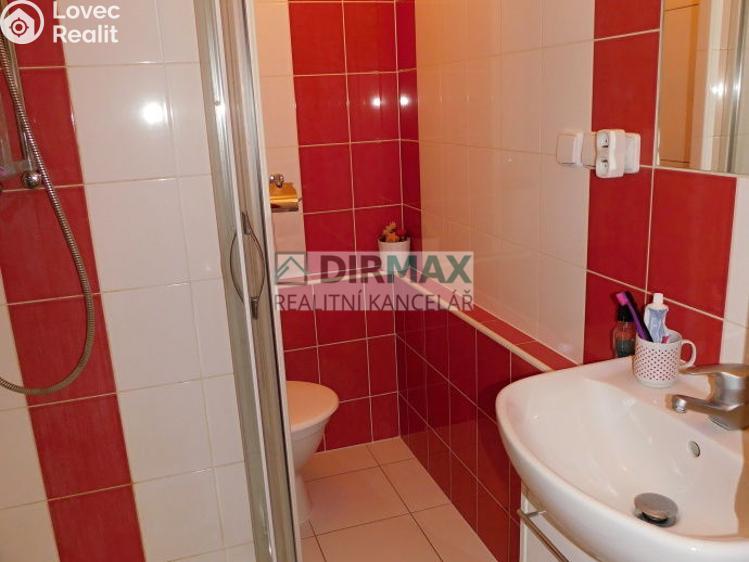 Pronájem bytu 1+1 Plzeň, Nýřanská 1296/42 č. 8