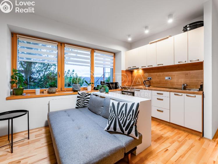 Rent villa Roztoky, Nad vinicemi č. 22