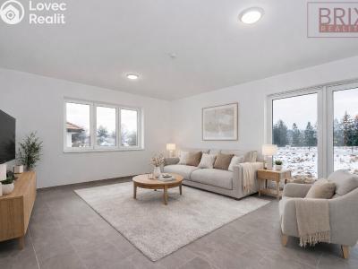 Sale family house Loket č. 3