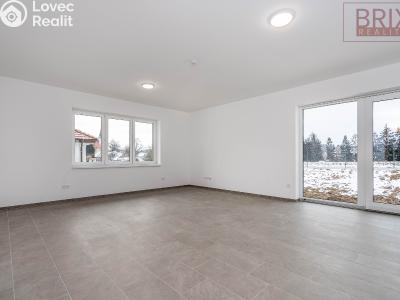 Sale family house Loket č. 4