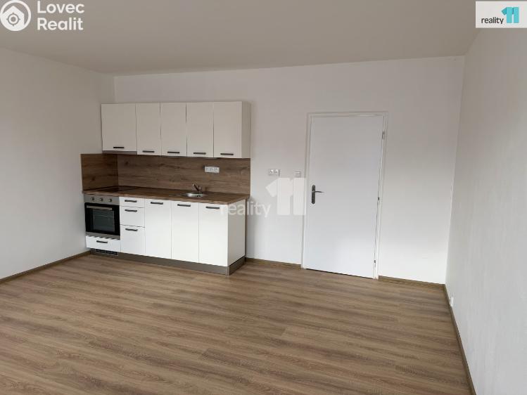 Pronájem bytu 1+KK Plzeň, Hodonínská č. 5