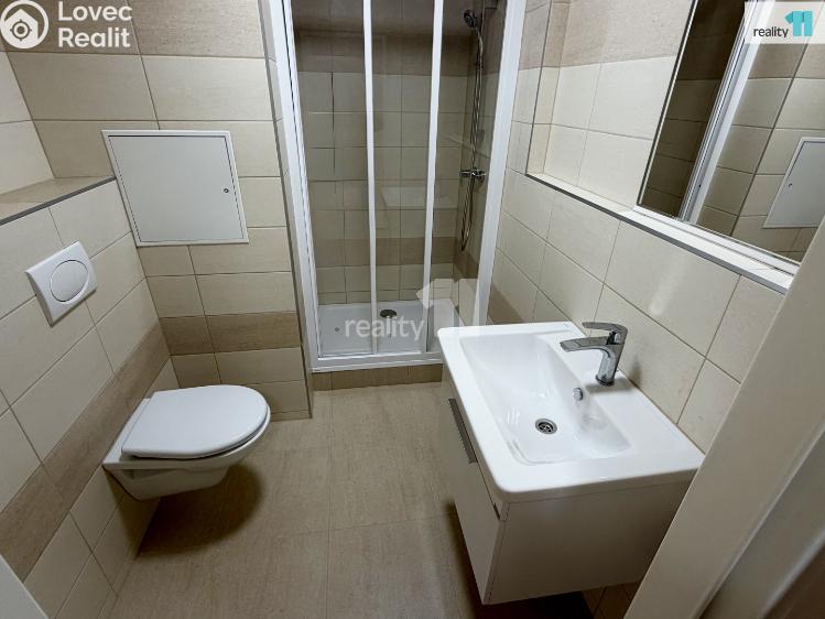 Pronájem bytu 1+KK Plzeň, Hodonínská č. 7