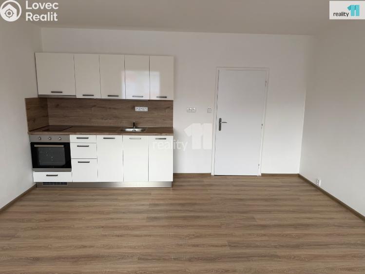 Pronájem bytu 1+KK Plzeň, Hodonínská č. 14