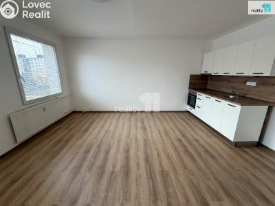 Pronájem bytu 1+KK Plzeň, Hodonínská č. 4