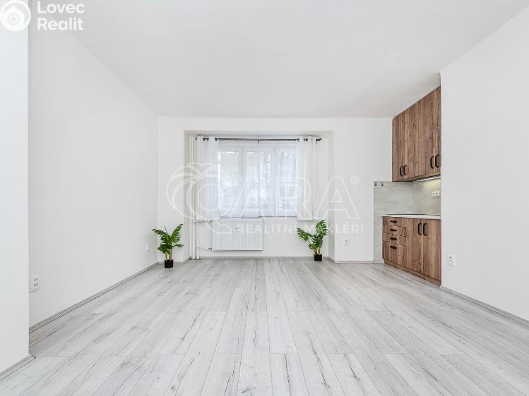 Prodej bytu 1+KK Kralupy nad Vltavou, nám. Mládežníků 677 č. 6