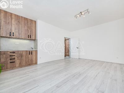 Prodej bytu 1+KK Kralupy nad Vltavou, nám. Mládežníků 677 č. 5