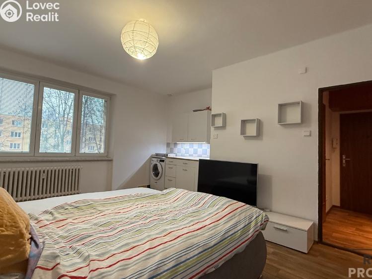 Pronájem bytu 1+KK Havířov, Karolíny Světlé č. 1