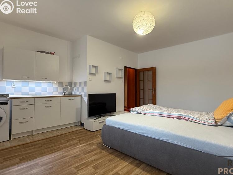 Pronájem bytu 1+KK Havířov, Karolíny Světlé č. 3