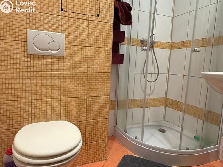 Pronájem bytu 1+KK Havířov, Karolíny Světlé č. 5