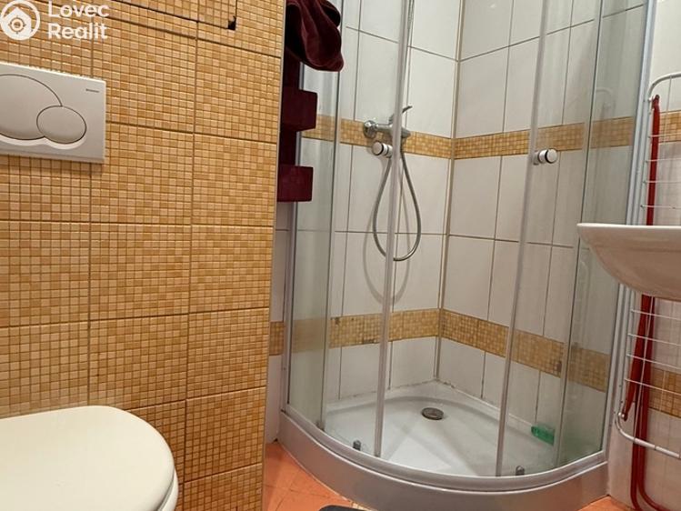 Pronájem bytu 1+KK Havířov, Karolíny Světlé č. 6