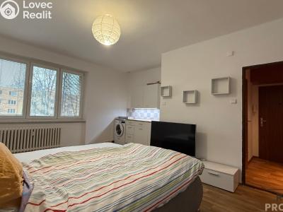 Pronájem bytu 1+KK Havířov, Karolíny Světlé č. 1