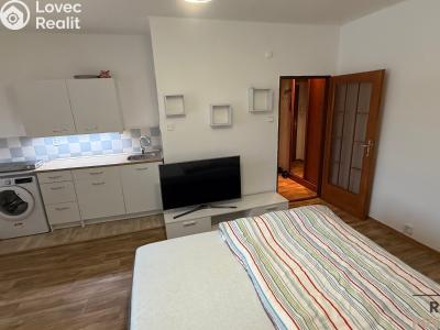 Pronájem bytu 1+KK Havířov, Karolíny Světlé č. 2