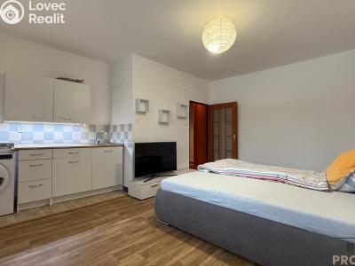 Pronájem bytu 1+KK Havířov, Karolíny Světlé č. 3