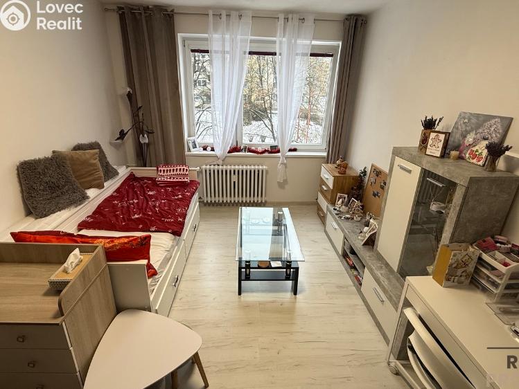 Pronájem bytu 1+1 Havířov, 17. listopadu č. 3