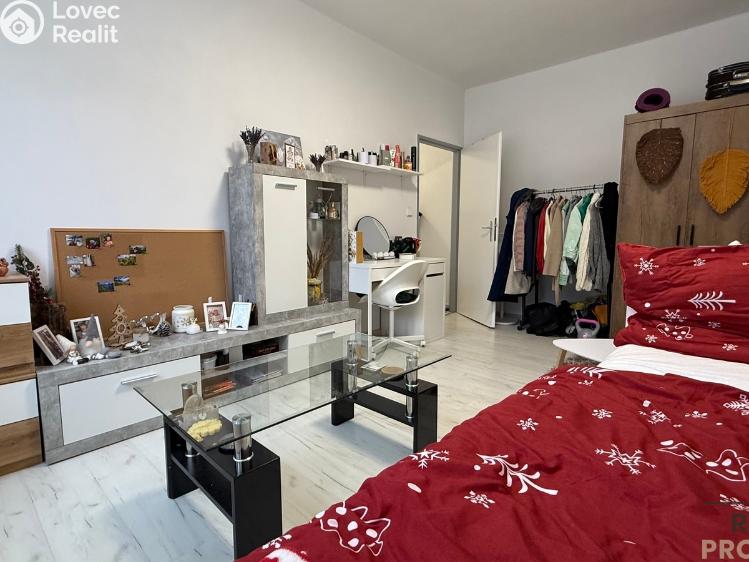 Pronájem bytu 1+1 Havířov, 17. listopadu č. 4