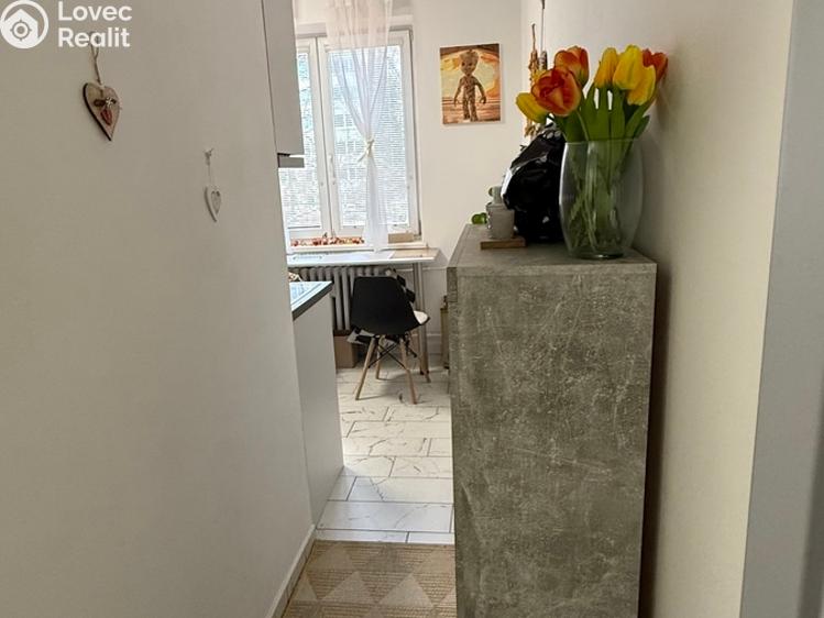 Аренда квартиры 1+1 Havířov, 17. listopadu č. 9