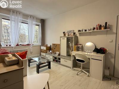 Pronájem bytu 1+1 Havířov, 17. listopadu č. 1