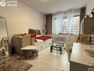 Pronájem bytu 1+1 Havířov, 17. listopadu č. 2