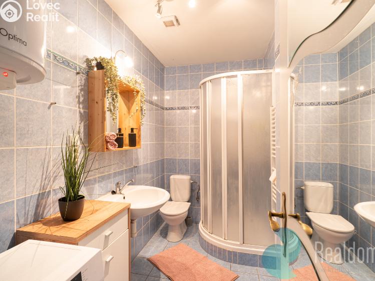 Prodej bytu 1+1 Lišov, třída 5. května 33/157 č. 6