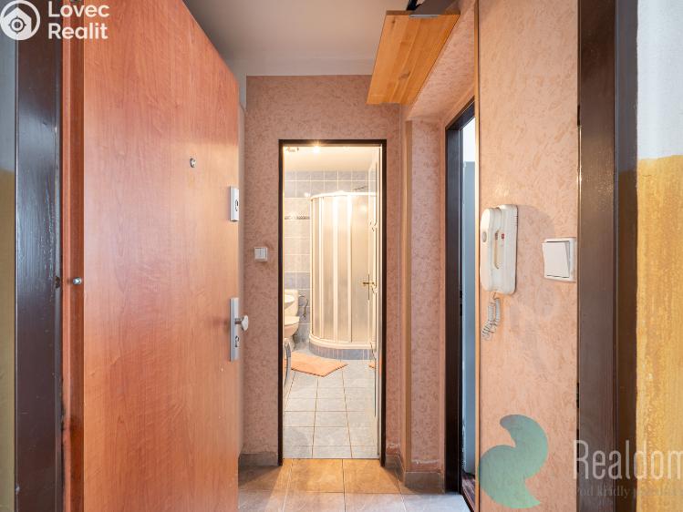 Продаж квартири 1+1 Lišov, třída 5. května 33/157 č. 8